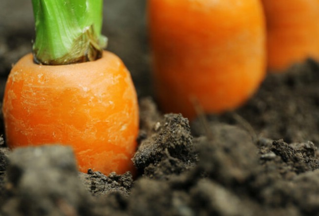 Secured Agriculture Loan